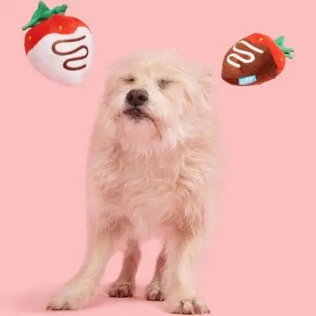 BARK Plush Strawberry Dog Toy for Fun Playtime - Talis Us