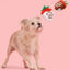 BARK Plush Strawberry Dog Toy for Fun Playtime - Talis Us