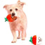 BARK Plush Strawberry Dog Toy for Fun Playtime - Talis Us