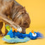 BARK Pop Peacock Dog Toys - Talis Us