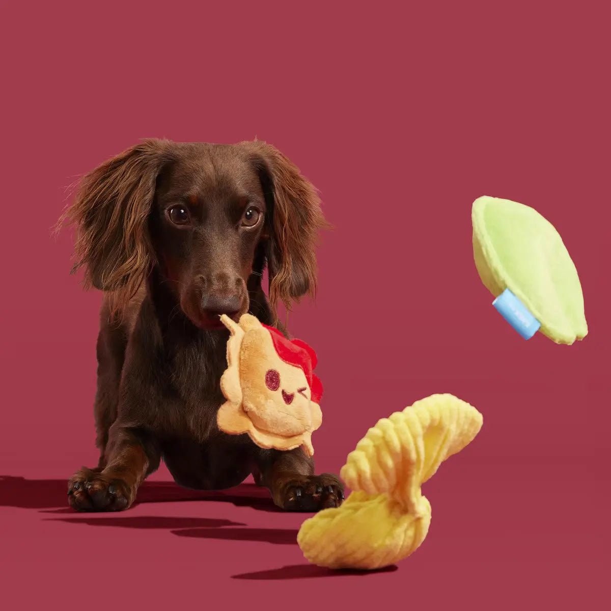 BARK Ravioli Homies Plush Dog Toy - Talis Us