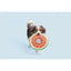 BARK Slobbermelon Fetch Dog Toy - Talis Us