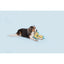BARK Smelly Wellies Plush Dog Toy - Talis Us