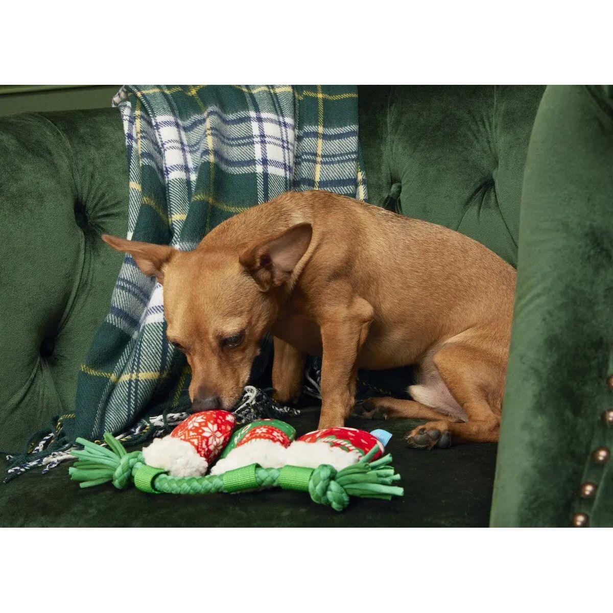 BARK Stocking Tuggers Plush Dog Toy - Talis Us