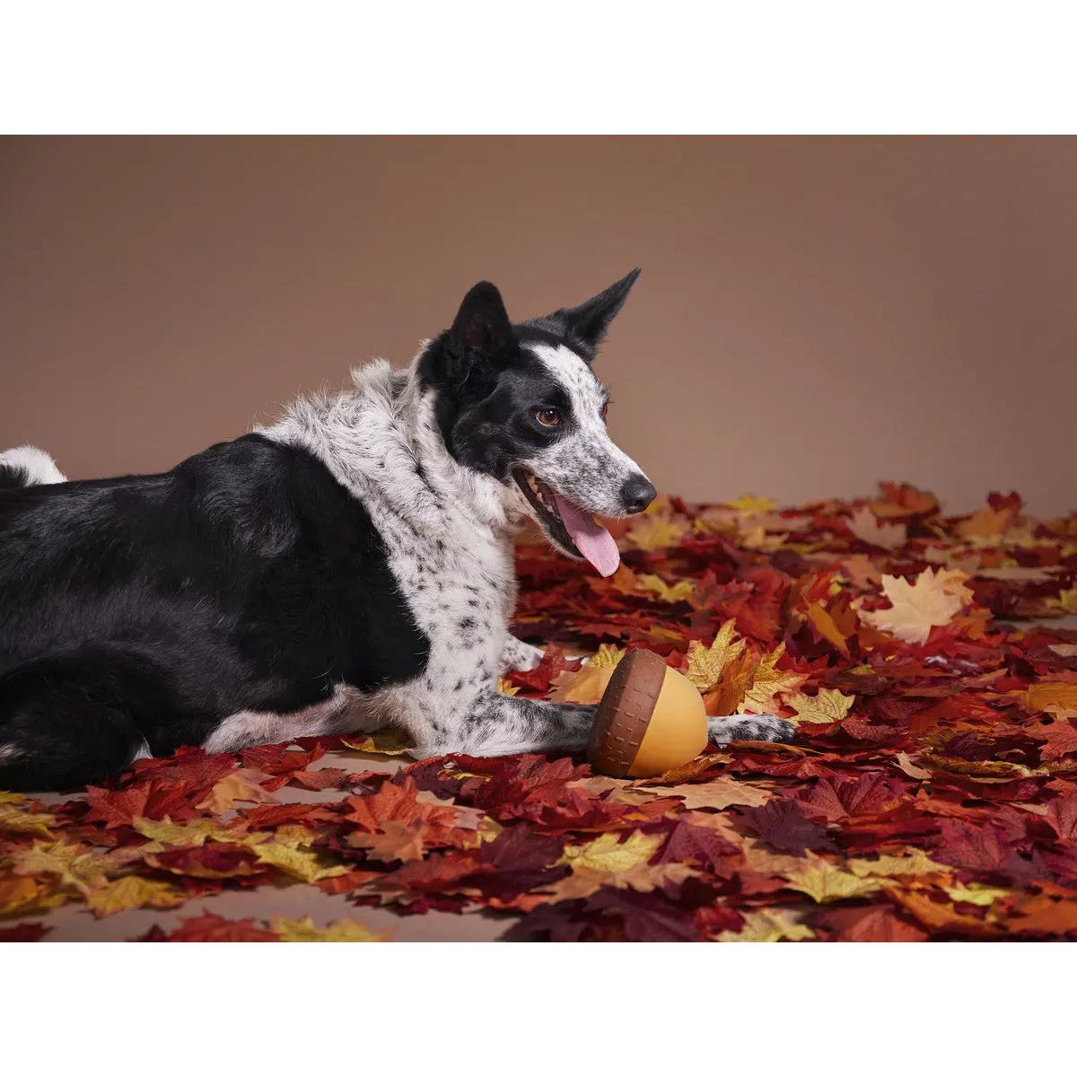 BARK Super Chewer Acornucopia Dog Chew Toys Large - Talis Us