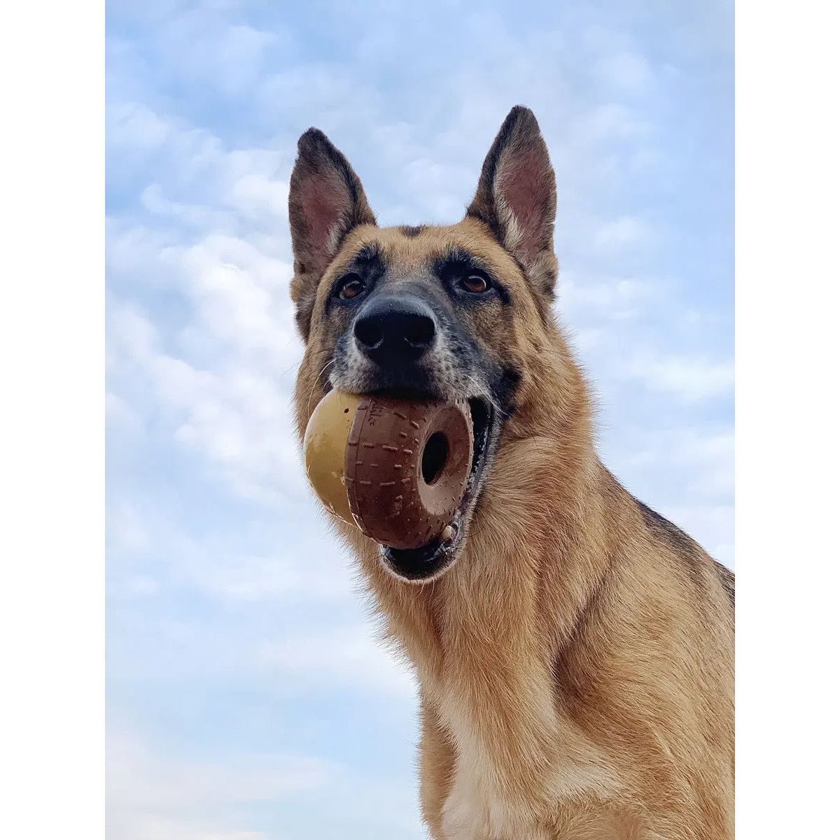 BARK Super Chewer Acornucopia Dog Chew Toys Large - Talis Us