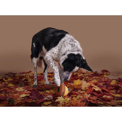 BARK Super Chewer Acornucopia Dog Chew Toys Large - Talis Us