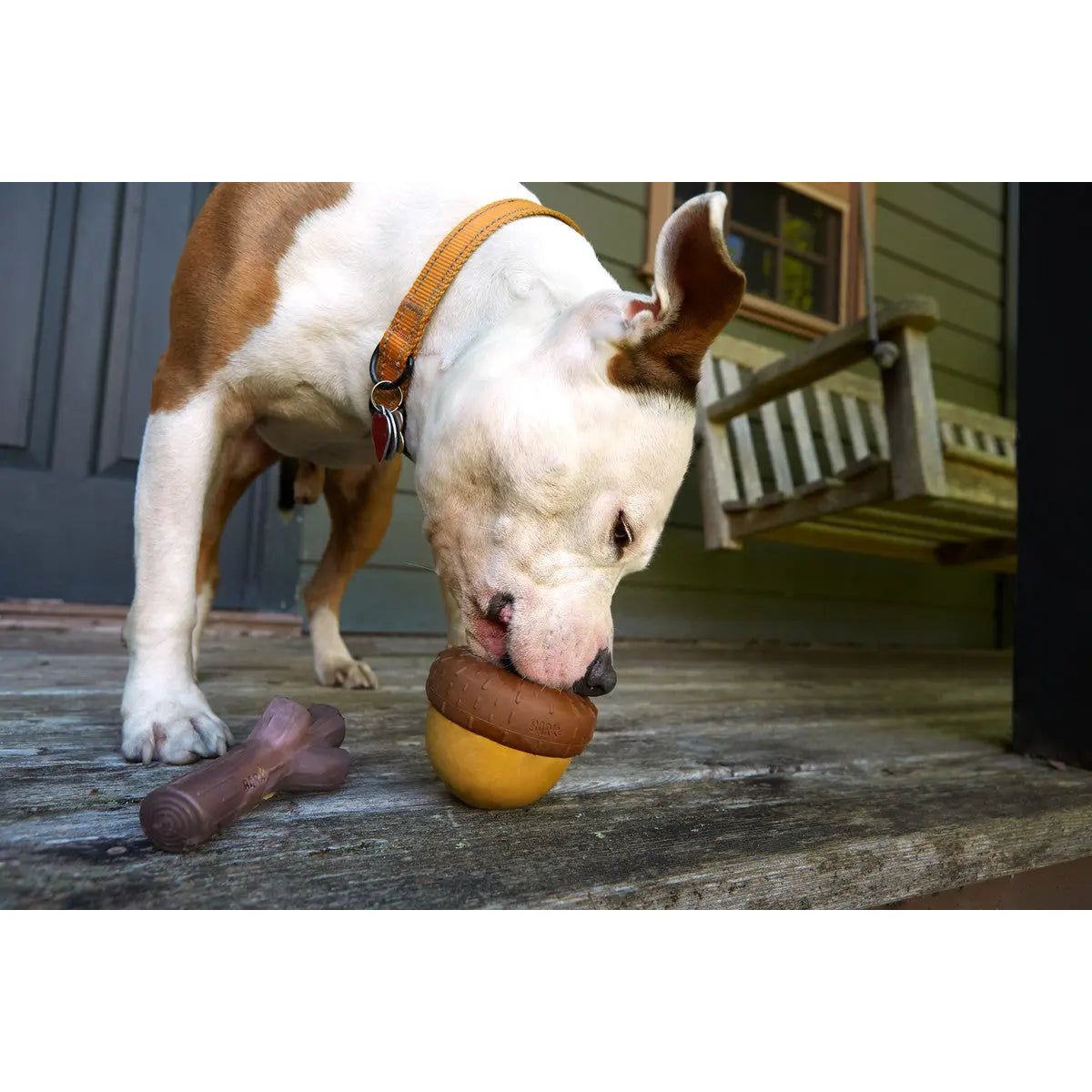 BARK Super Chewer Acornucopia Dog Chew Toys Large - Talis Us