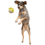 BARK Super Chewer Blowfetch Dog Chew Toy - Talis Us