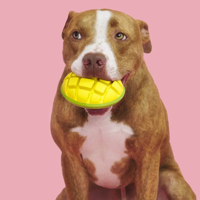 BARK Super Chewer Go Mango Dog Chew Toy - Talis Us
