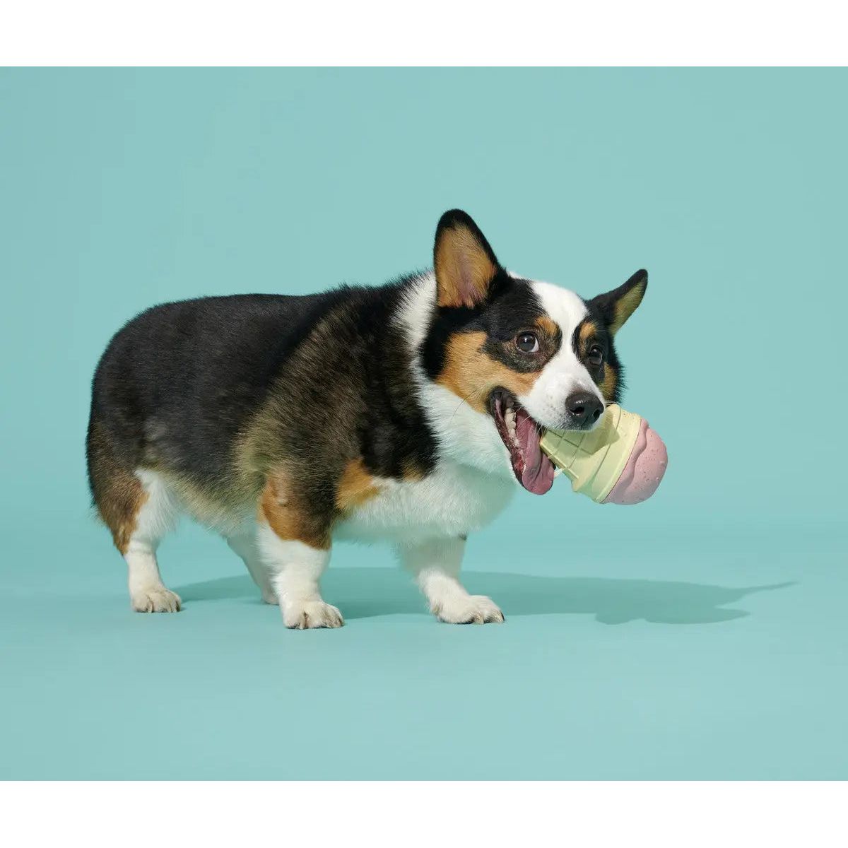 BARK Super Chewer I - Squeak Cone Dog Toy Medium - Large - Talis Us