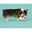 BARK Super Chewer I - Squeak Cone Dog Toy Medium - Large - Talis Us