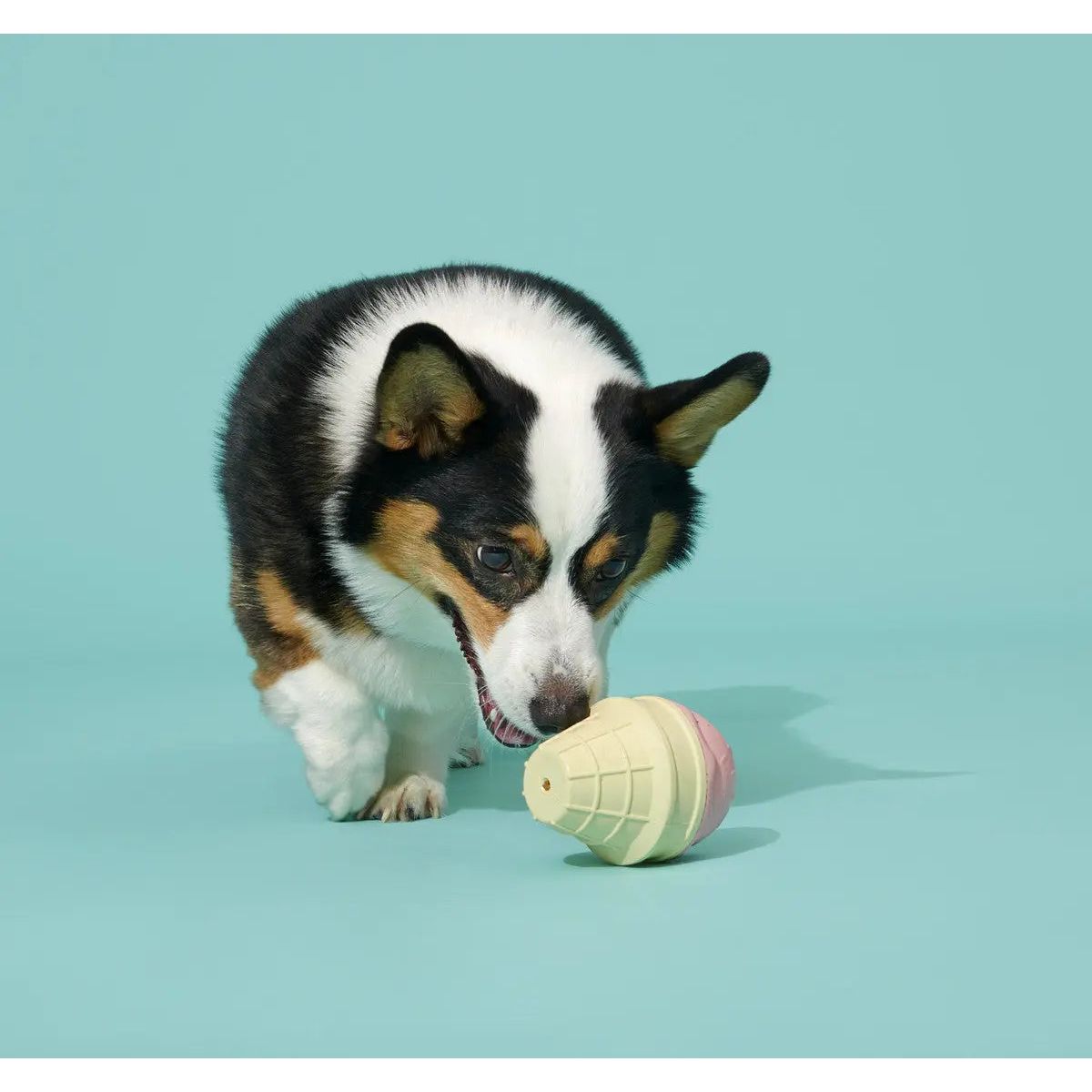 BARK Super Chewer I - Squeak Cone Dog Toy Medium - Large - Talis Us