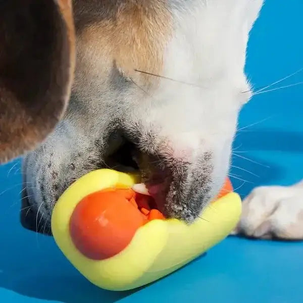 BARK Super Chewer Treat Meat Hot Dog Dog Chew Toy - Talis Us