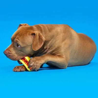 BARK Super Chewer Treat Meat Hot Dog Dog Chew Toy - Talis Us