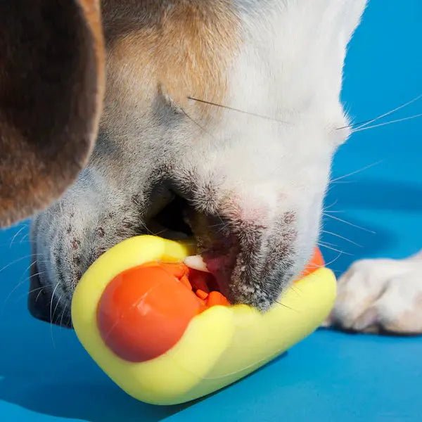 BARK Super Chewer Treat Meat Hot Dog Dog Chew Toy - Talis Us