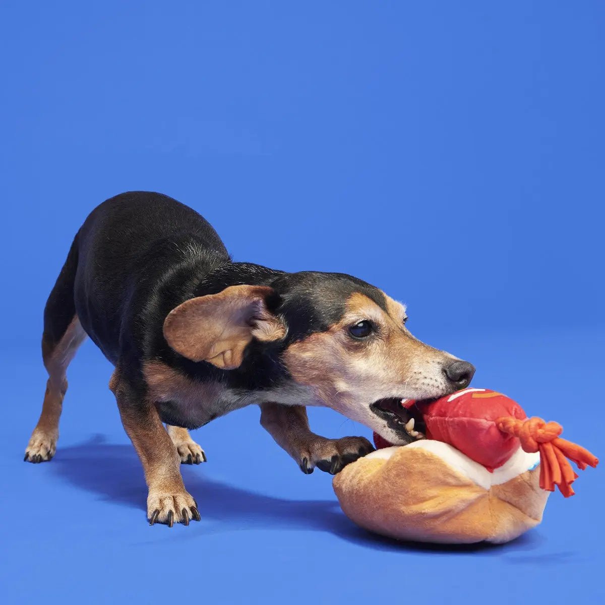 BARK The Everything Dog Fourth Of July BBQ Plush Dog Toy - Talis Us