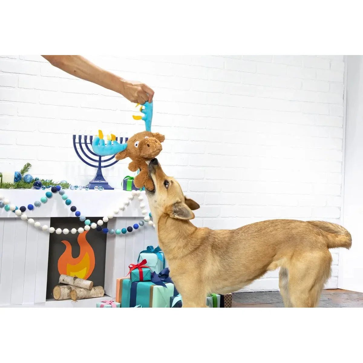 BARK The Menorah Moose Dog Toys - Talis Us