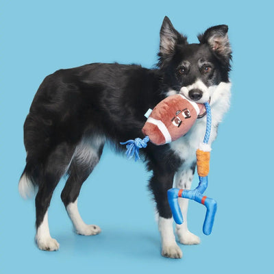 BARK The Whole Canine Yards Plush Dog Toy - Talis Us