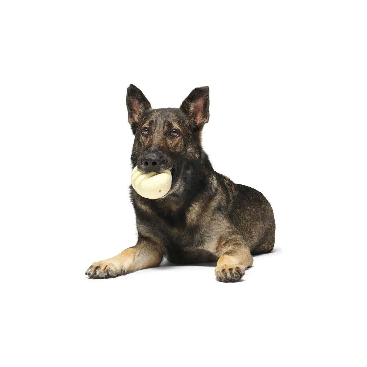 BARK Tinkles The Gerbil Dog Toys - Talis Us