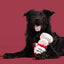 BARK Tony Pupperoni Plush Dog Toy - Talis Us