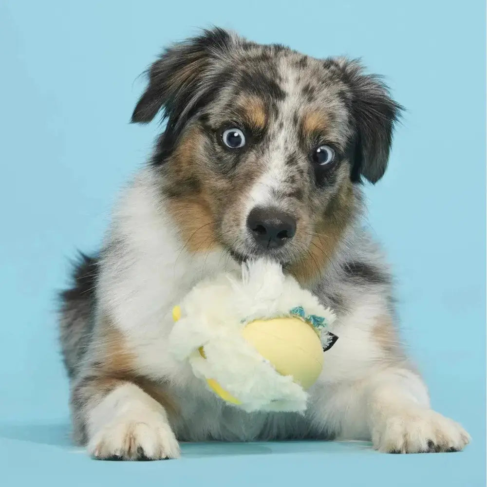 BARK Tough Chick Chicken Super Chewer Dog Toy Yellow Small/Medium - Talis Us