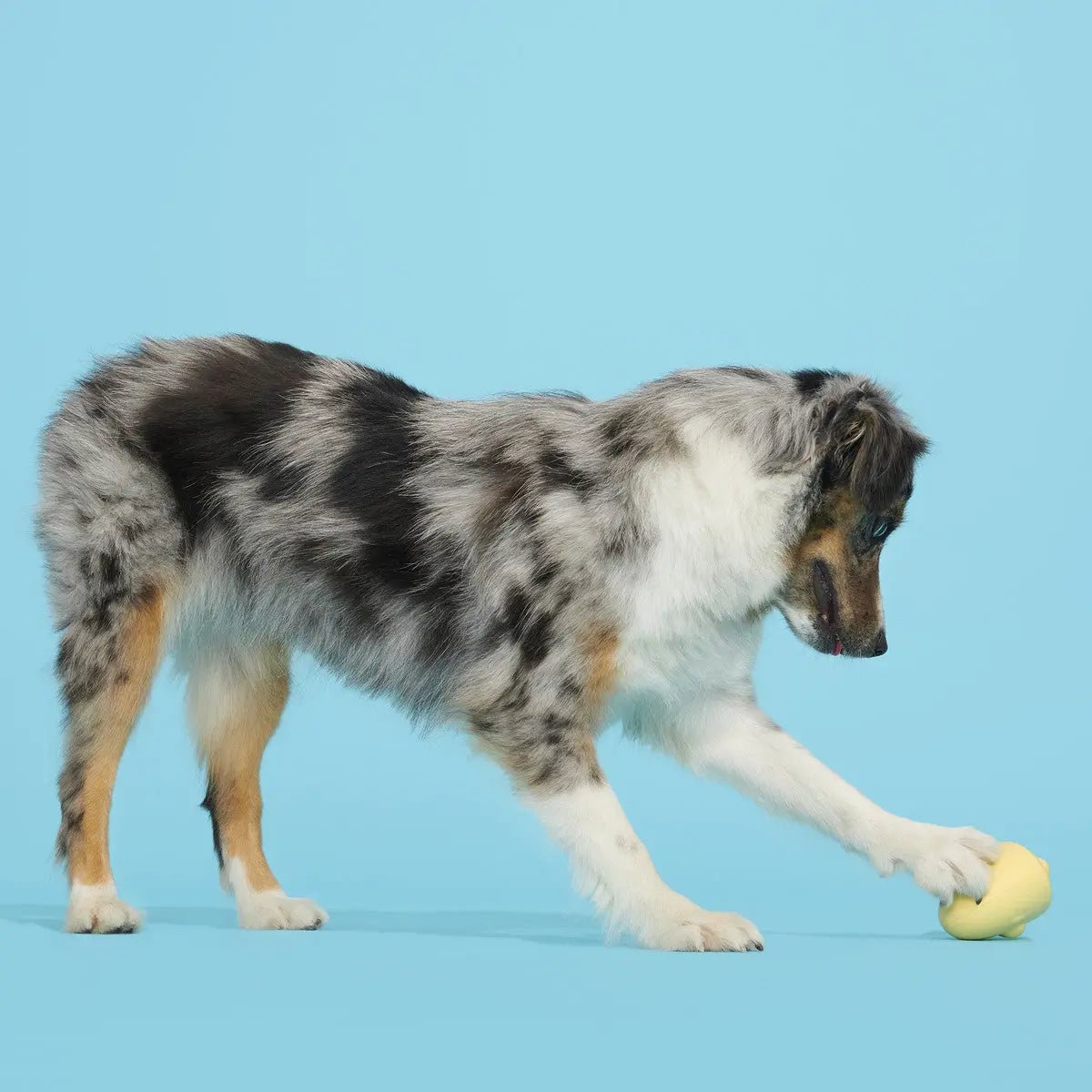 BARK Tough Chick Chicken Super Chewer Dog Toy Yellow Small/Medium - Talis Us