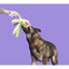 BARK Undead Ollie The Octopus Plush Dog Toy - Talis Us