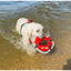BAYDOG Fetch Ring Toy for Dogs - Talis Us