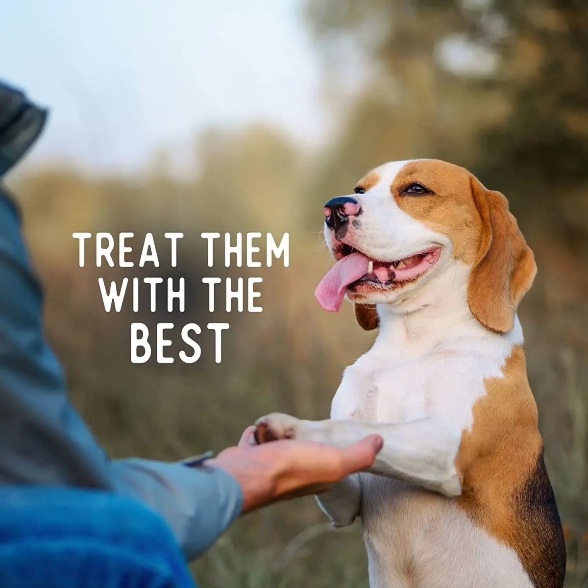 Beg & Barker Whole Turkey Chips Dog Treats - Talis Us