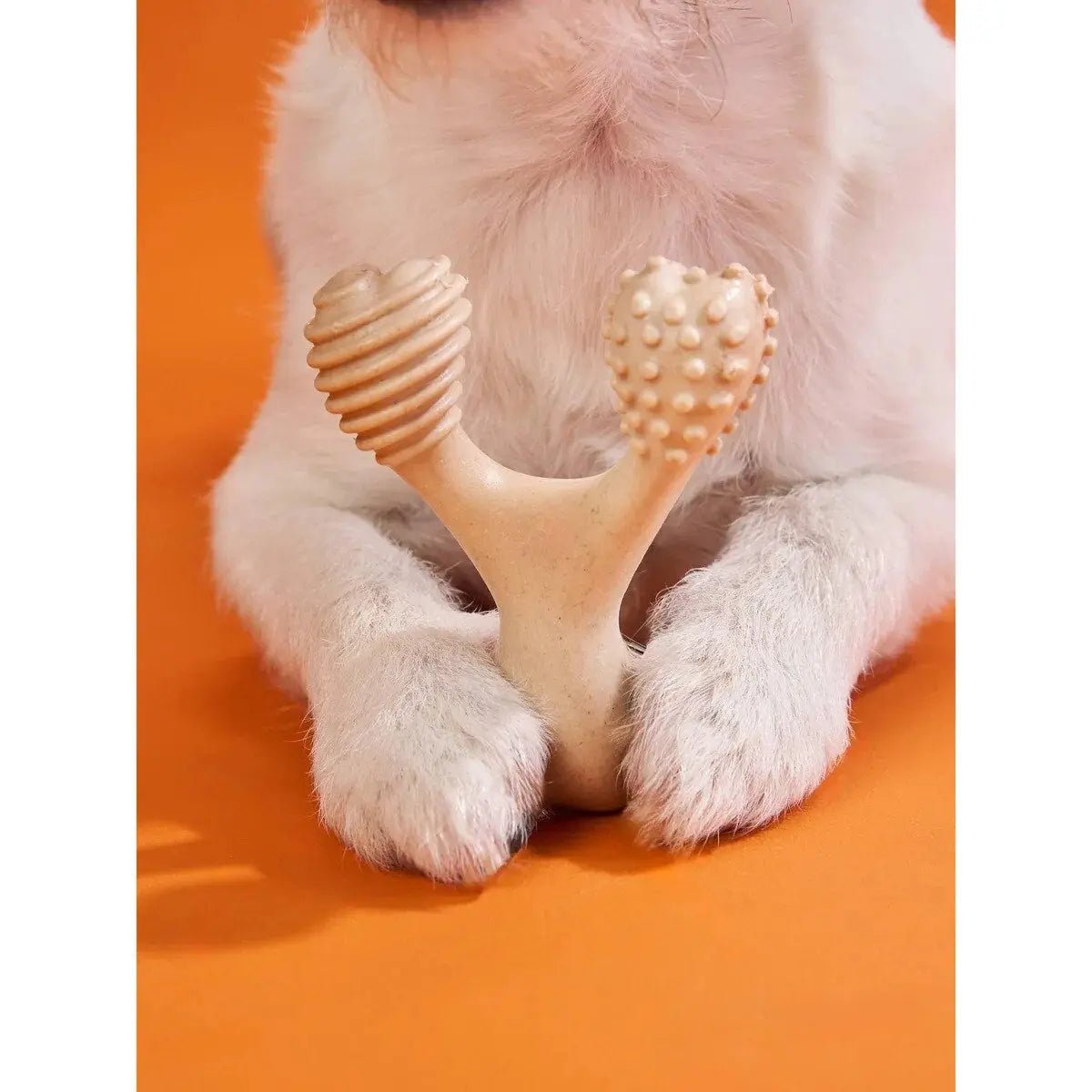 BetterBone Hard Beef Dog Chew Toy - Talis Us