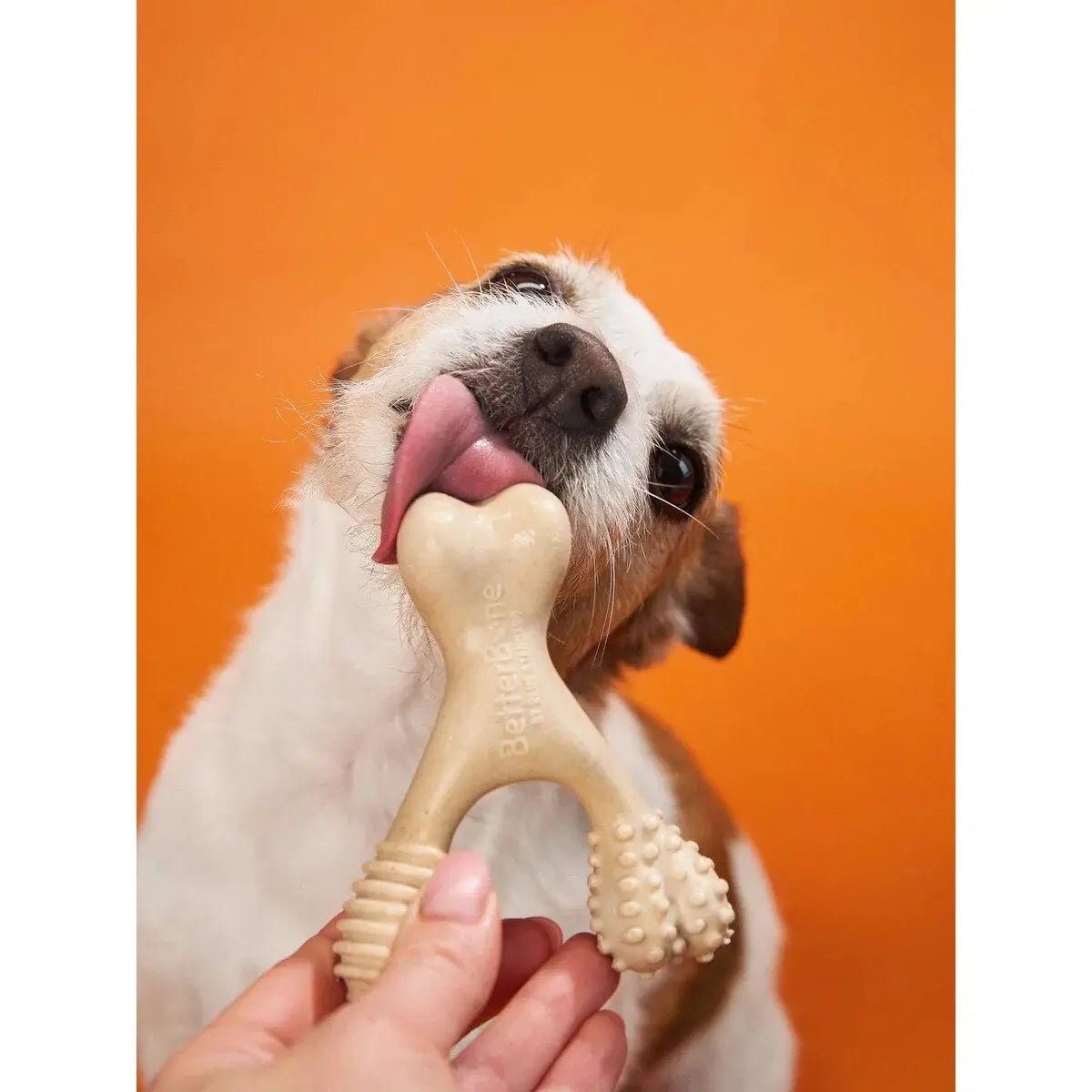 BetterBone Hard Beef Dog Chew Toy - Talis Us
