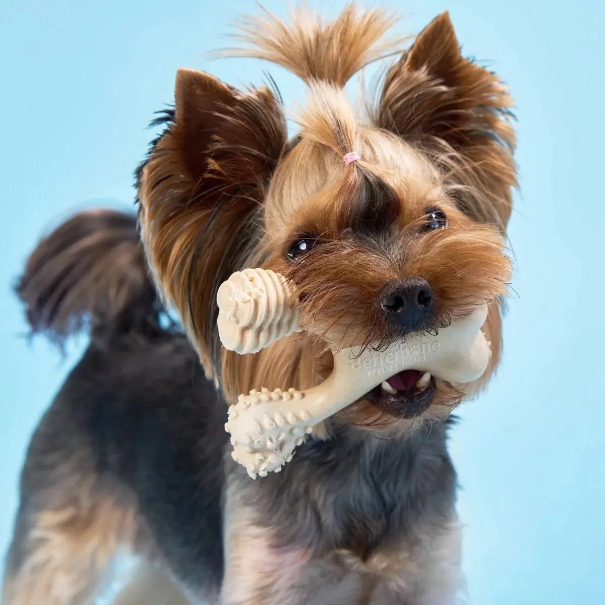 BetterBone Soft Beef Dog Chew - Talis Us
