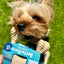 BetterBone Soft Beef Dog Chew - Talis Us