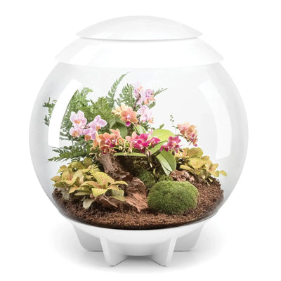 BiOrb AIR 60 Terrarium - Talis Us