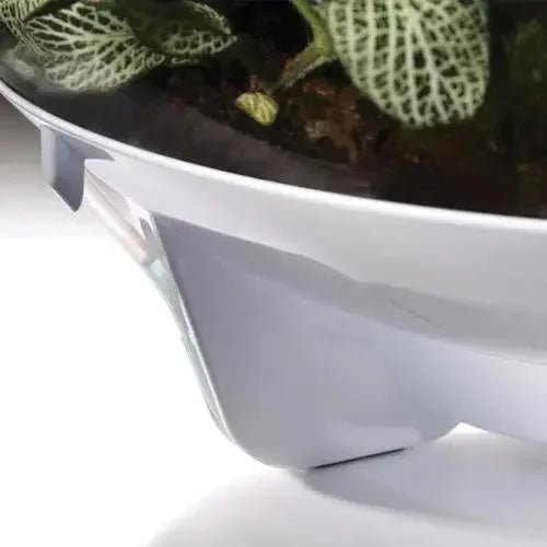 BiOrb AIR 60 Terrarium - Talis Us