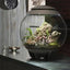 BiOrb AIR 60 Terrarium - Talis Us