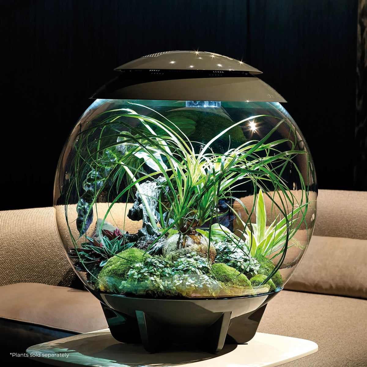 BiOrb AIR 60 Terrarium - Talis Us