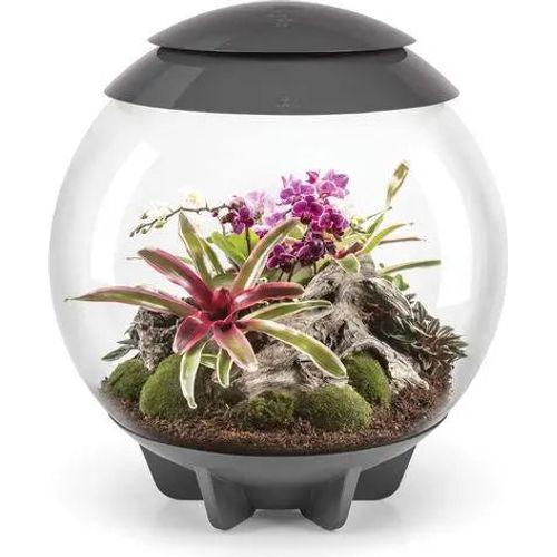 BiOrb AIR 60 Terrarium - Talis Us