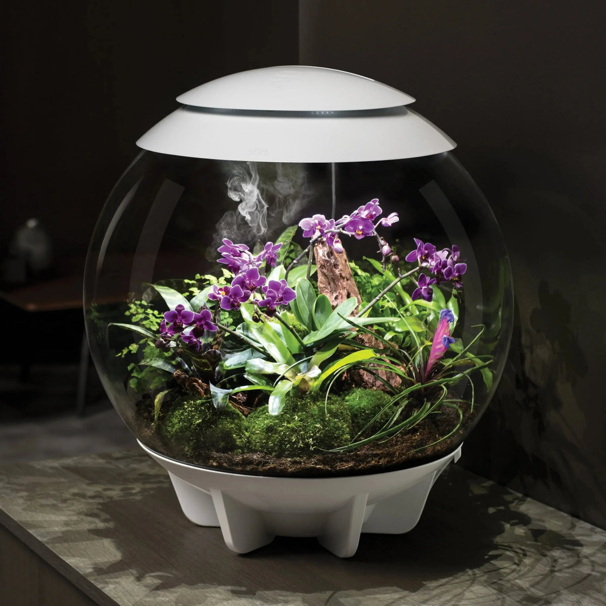 BiOrb AIR 60 Terrarium - Talis Us