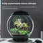 BiOrb AIR 60 Terrarium - Talis Us