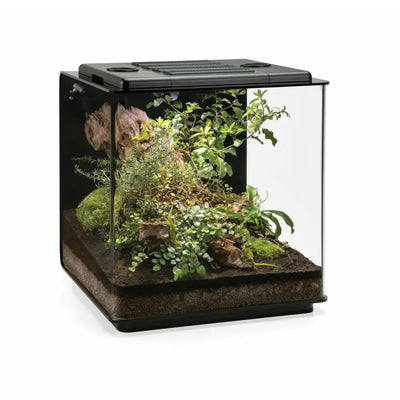 Interior view of BiOrb Earth 125 Terrarium with plants and naturalistic decor