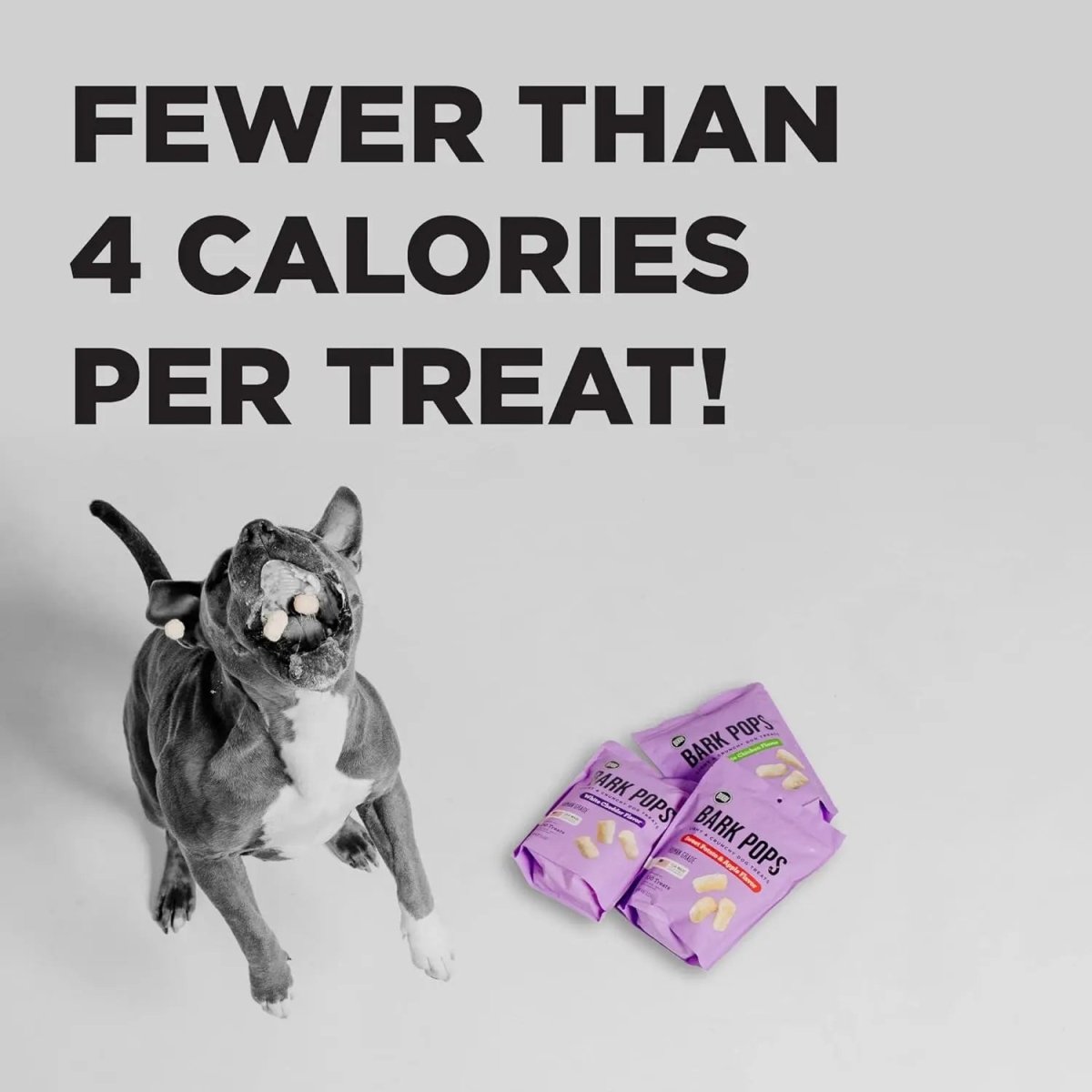 BIXBI Bark Pops Light & Crunchy Dog Treats 4oz. - Talis Us