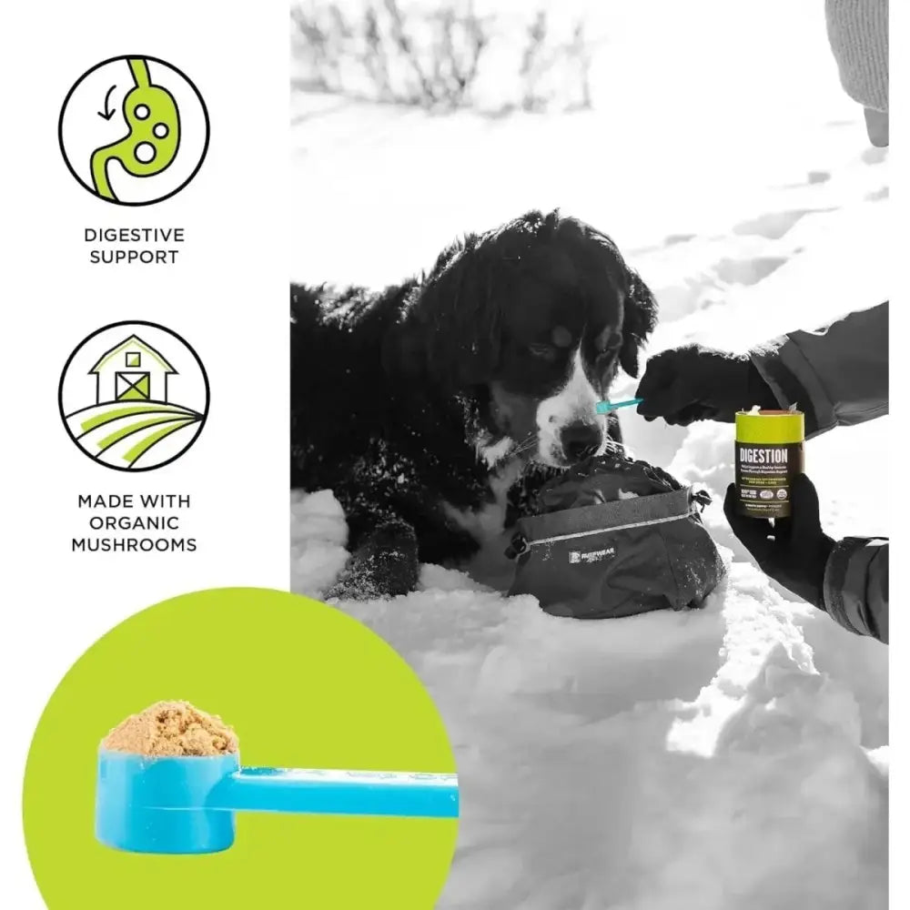 BIXBI Digestion Pet Superfood Daily Mushroom Powder Supplement for Dogs & Cats 2.12 oz - Talis Us