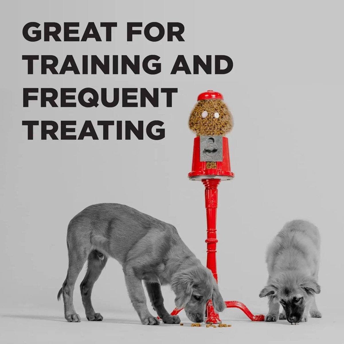 BIXBI Pocket Trainers Grain - Free Dog Treats 6oz. - Talis Us