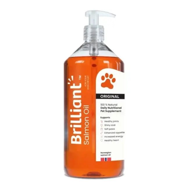 Brilliant Salmon Oil Skin & Coat Supplement for Dogs - Talis Us