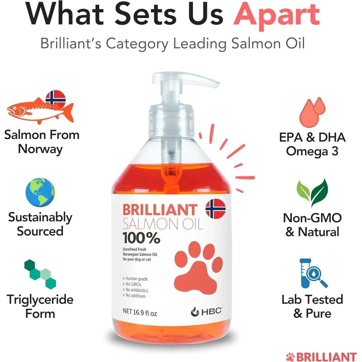 Brilliant Salmon Oil Skin & Coat Supplement for Dogs - Talis Us