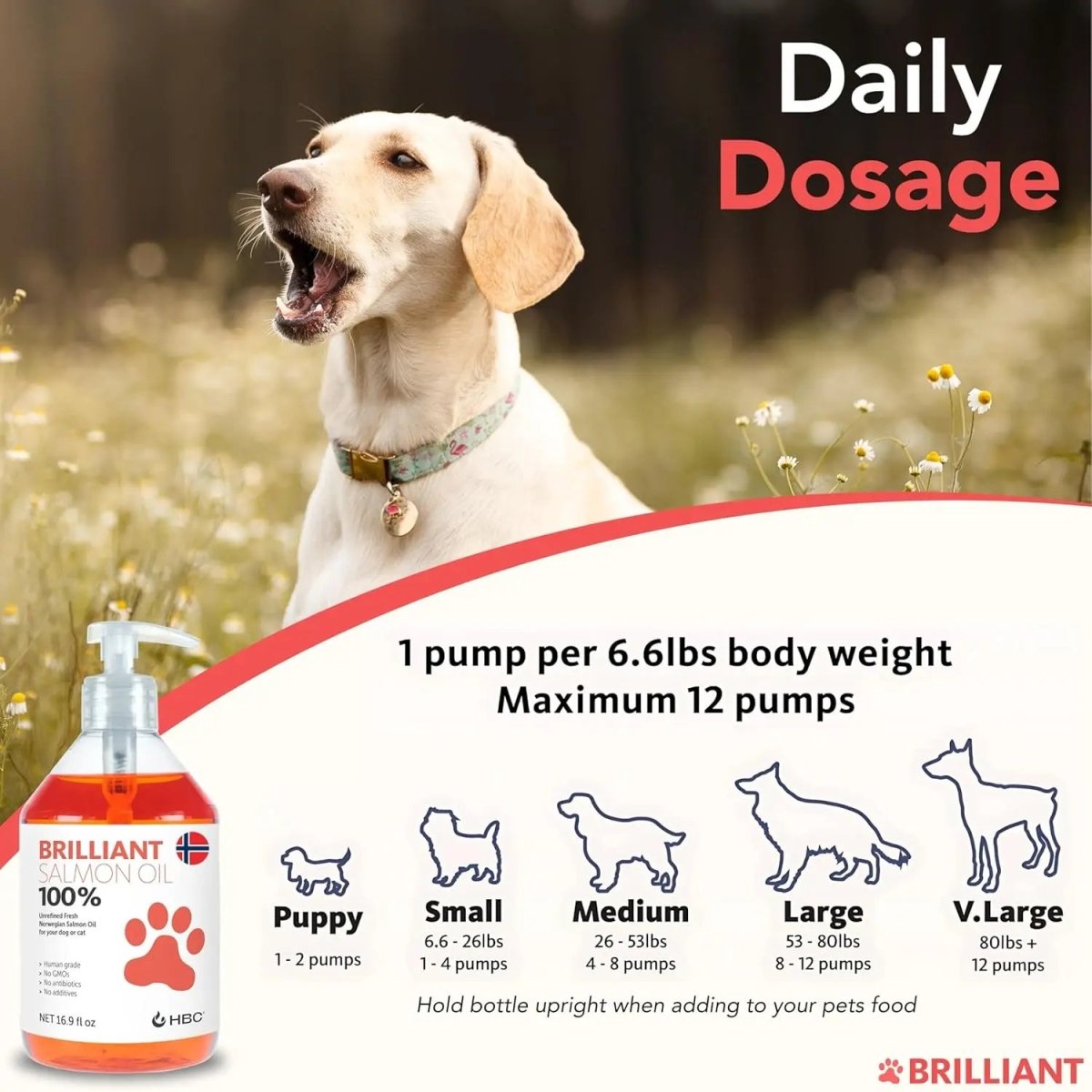 Brilliant Salmon Oil Skin & Coat Supplement for Dogs - Talis Us
