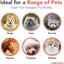 Brilliant Salmon Oil Skin & Coat Supplement for Dogs - Talis Us