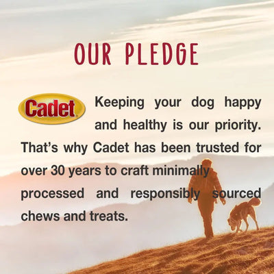 Cadet Large Bully Sticks Long - Lasting Grain - Free Dog Chews - Talis Us